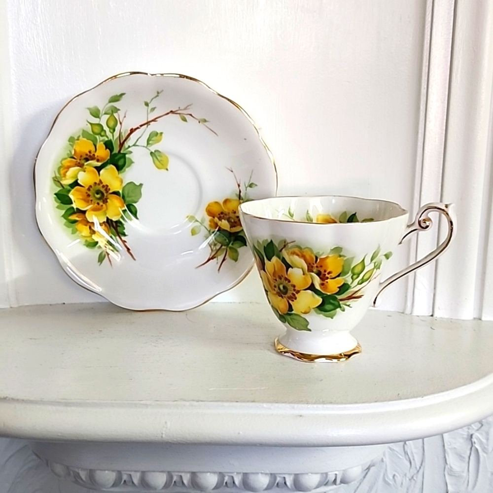 Royal Standard - Bone China - Cup and Saucer - Wild Rose